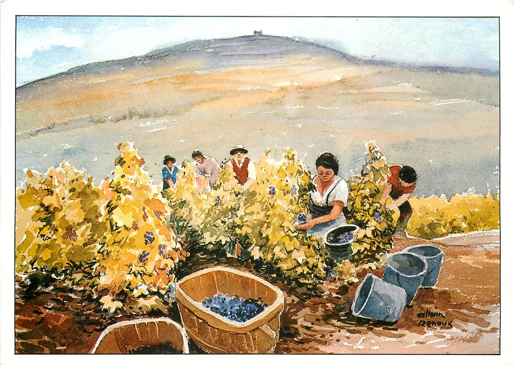Zbieranie winogron w Beaujolais — reprodukcja akwareli — Allain Renoux, AB 87 205 - Awers
