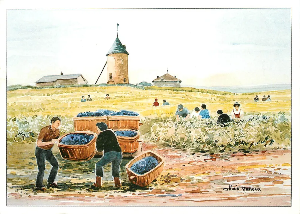 Zbieranie winogron w Beaujolais — reprodukcja akwareli Allaina Renouxa — edycja AB 87203 - Awers