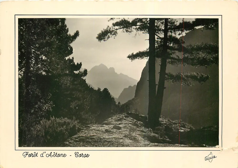 Las Aitone - Korsyka — fotografia Korsyki - Awers