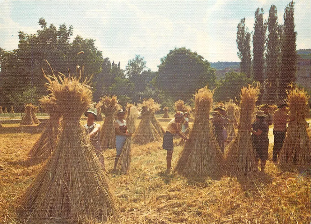 Les Moissons — Les Petits Métiers de Chez Nous — AS Couleurs Naturelles - Frente