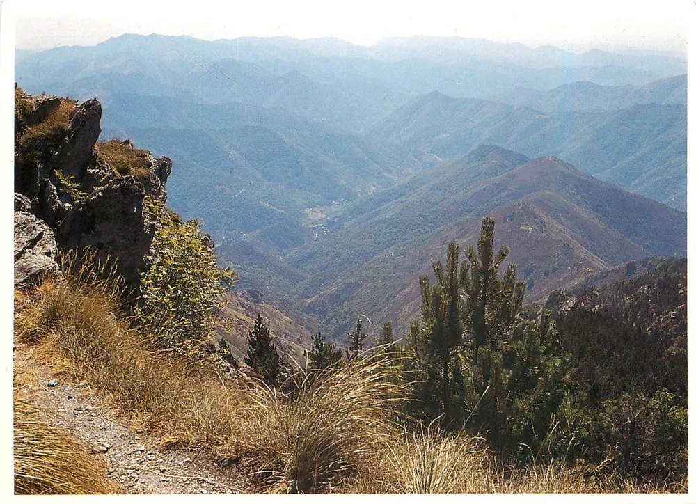 Monte Aigoual (1567 m.) — Vista hacia el paso del Pas — Foto de Claude Fournier - Anverso