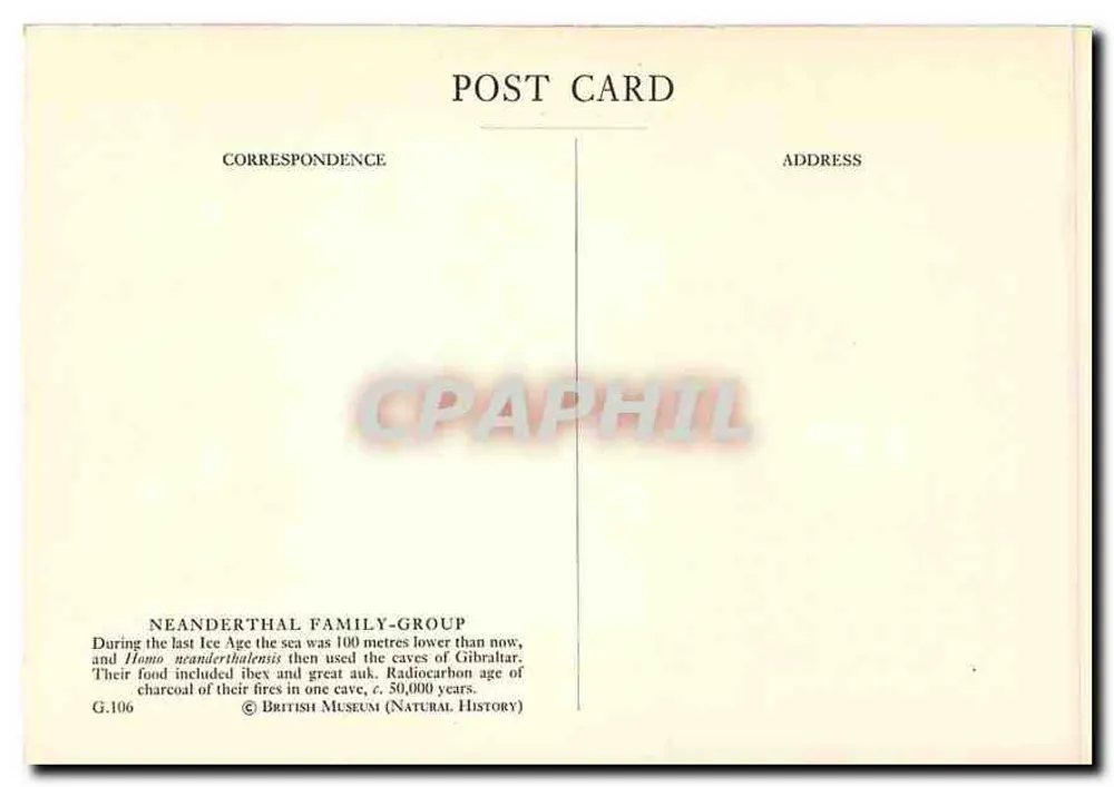 Família neandertal — G.106 — British Museum (Natural History) - Verso
