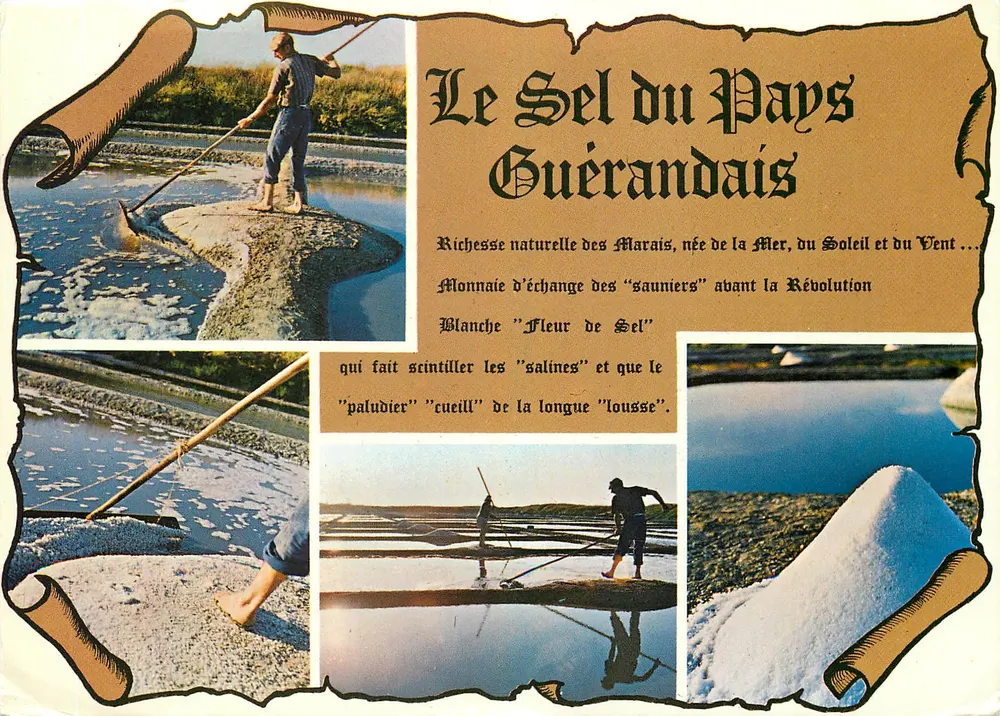 O Sal do País Guérandais — Riqueza Natural dos Pântanos, Nascida do Mar, do Sol e do Vento — editor S.E.C.A. 204, Av. Roger-Salengro, 69100 Villeurbanne - Frente