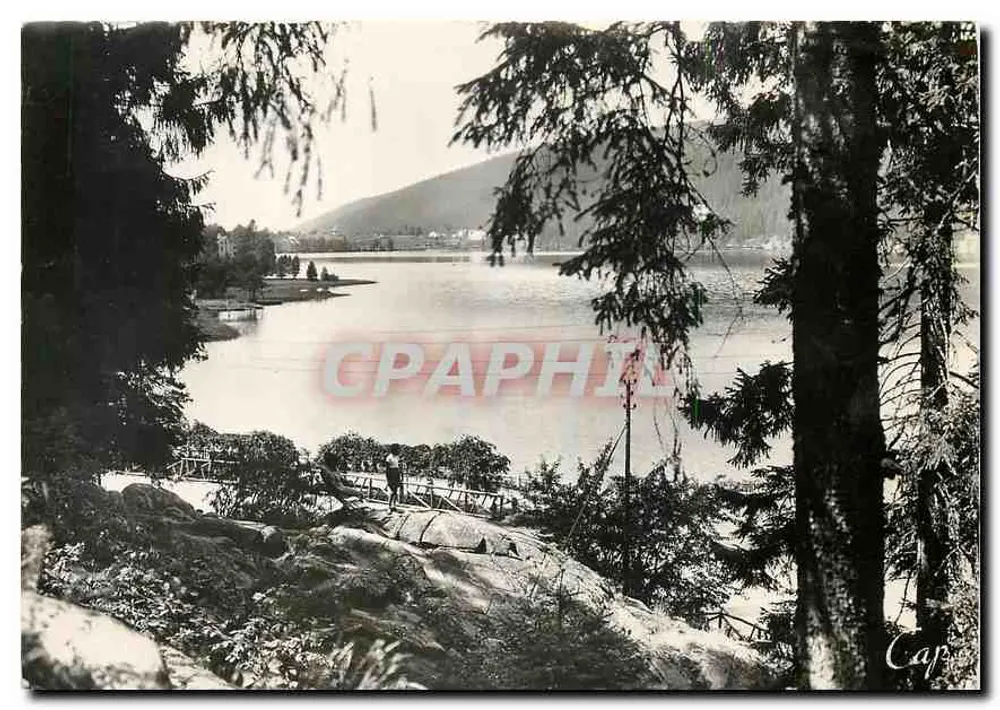 Lago de Gérardmer — vista de um caminho florestal — Capa - Frente