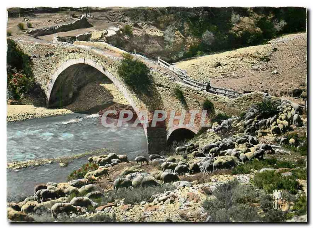 Paisagem da Provença — Os Transumantes — Edições Photoguy, Nice - Frente