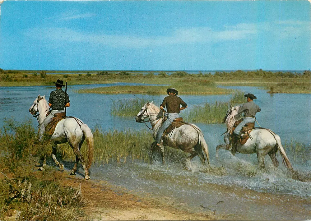 Camargue-Reiter an den Ufern des Vaccarès — Société Ricard de Méjanes, n° 13347 - Vorderseite