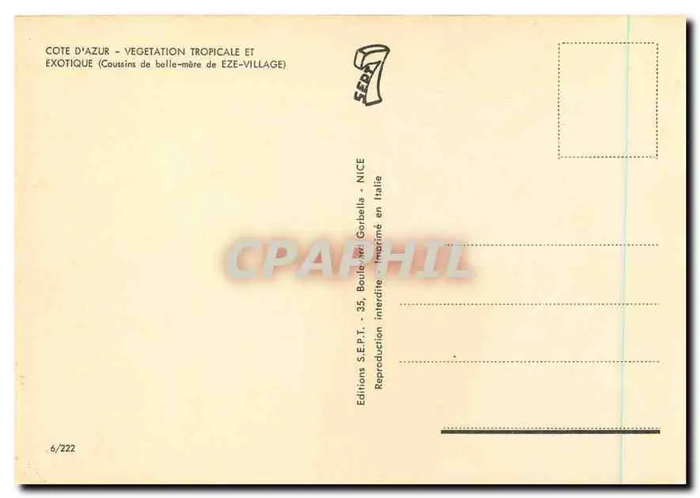Cacto — Jardim exótico — Edições S.E.P.T. n°6/222 - Verso