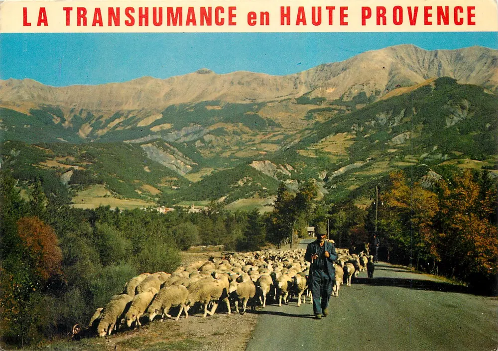 A Transumância na Alta Provência — Edições Photosadia, AB.59 - Frente