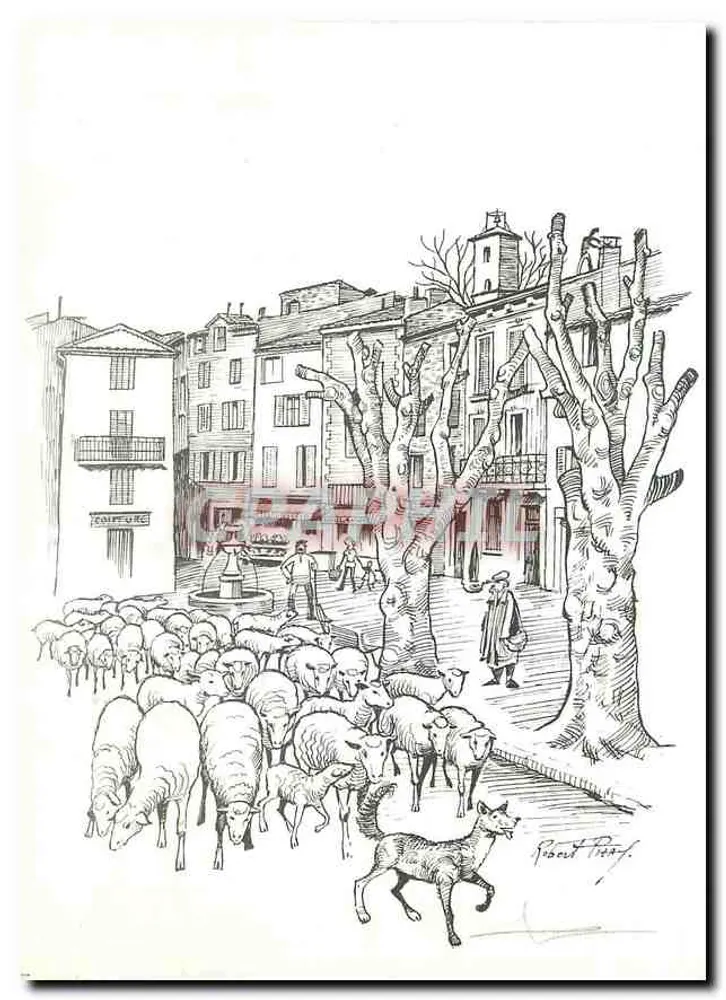 La Motte 83 — rebanho de ovelhas em uma rua — Philippe Pizay - Frente