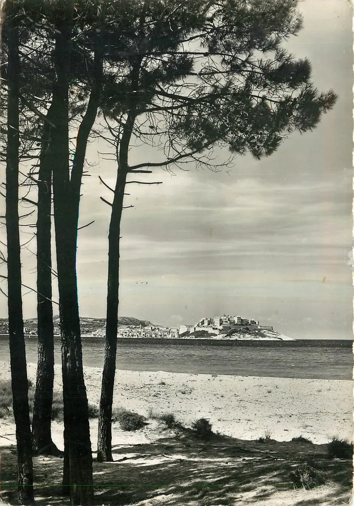 Calvi — La Plage — Edizioni M.-C. Miramont, Bastia - Recto