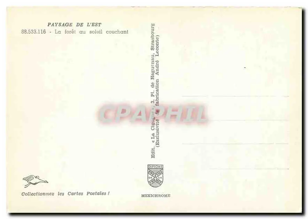 Floresta ao pôr do sol — Strasbourg, Alsace — Edição Diplôme - Verso
