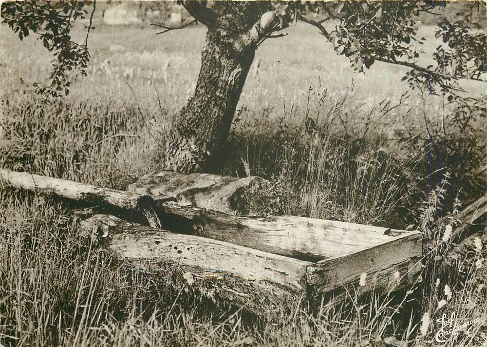 O Lago de Madeira — Os Vosgues — J. Crouchouron - Frente
