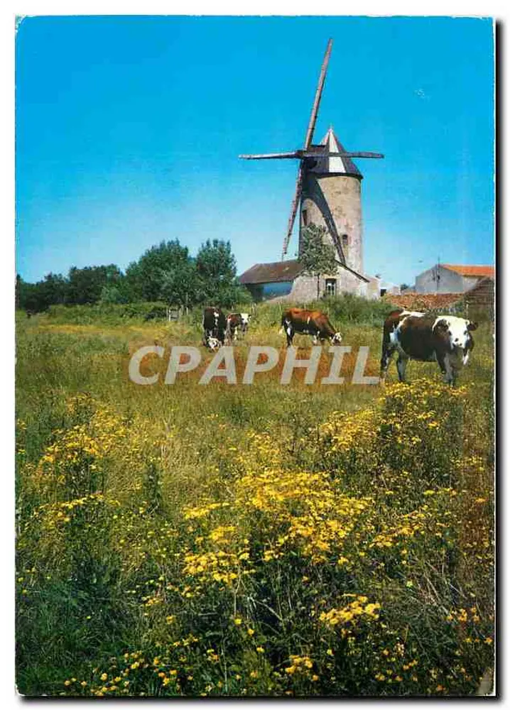 La Vendée pittoresca — Un Vecchio Mulino — Edizioni dell'Europa, Sérignanmaures - Recto