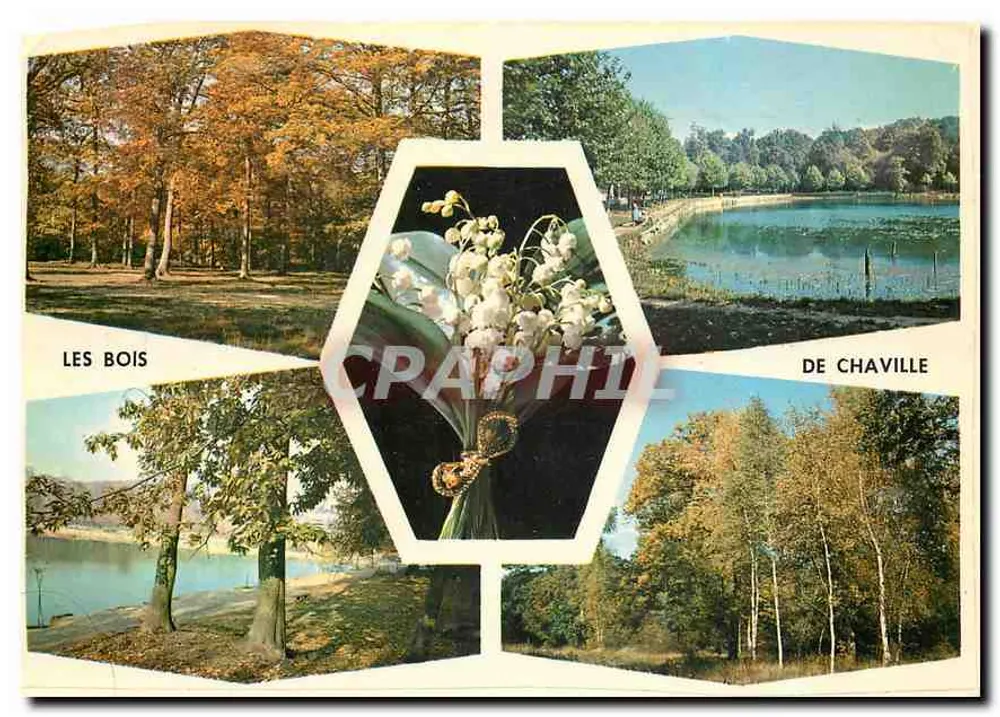 Die Wälder von Chaville — Verschiedene Aspekte des Waldes und Teiche — Verlag Raymond, Nr. 92-83 - Vorderseite