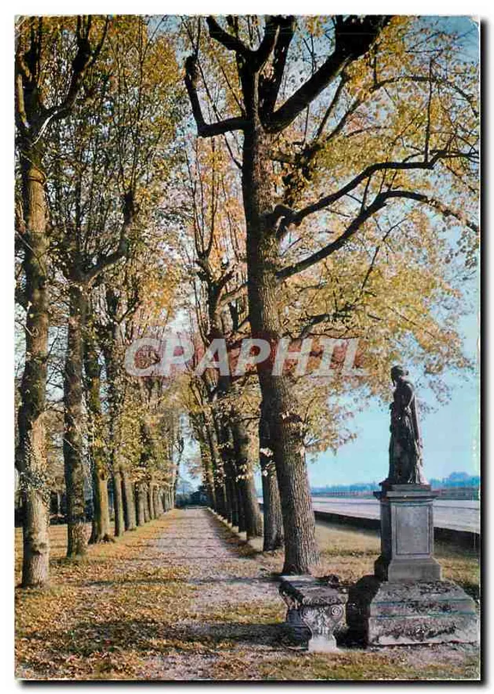 Baumallee im Herbst — Statue am Rand eines Weges — Verleger CRAPHIL - Vorderseite