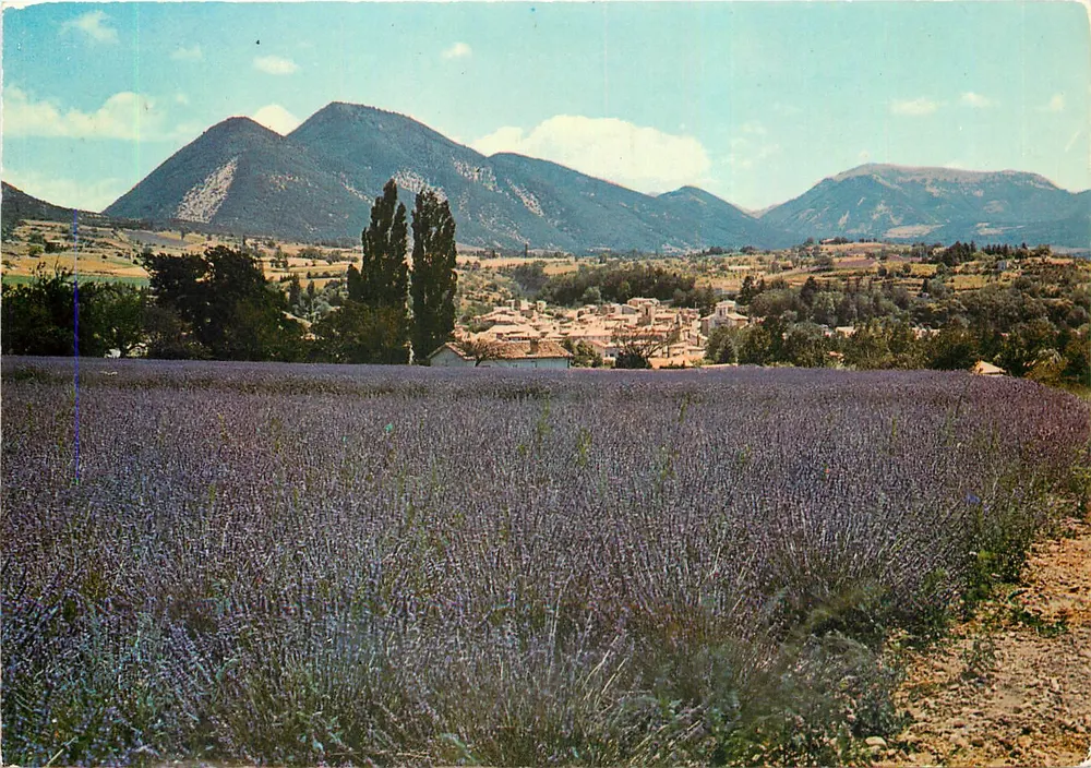 Lavendelfelder in Dieulefit — Landschaften der Provence, D. 897 — Éd. J. Cellard, SPADÈM - Vorderseite