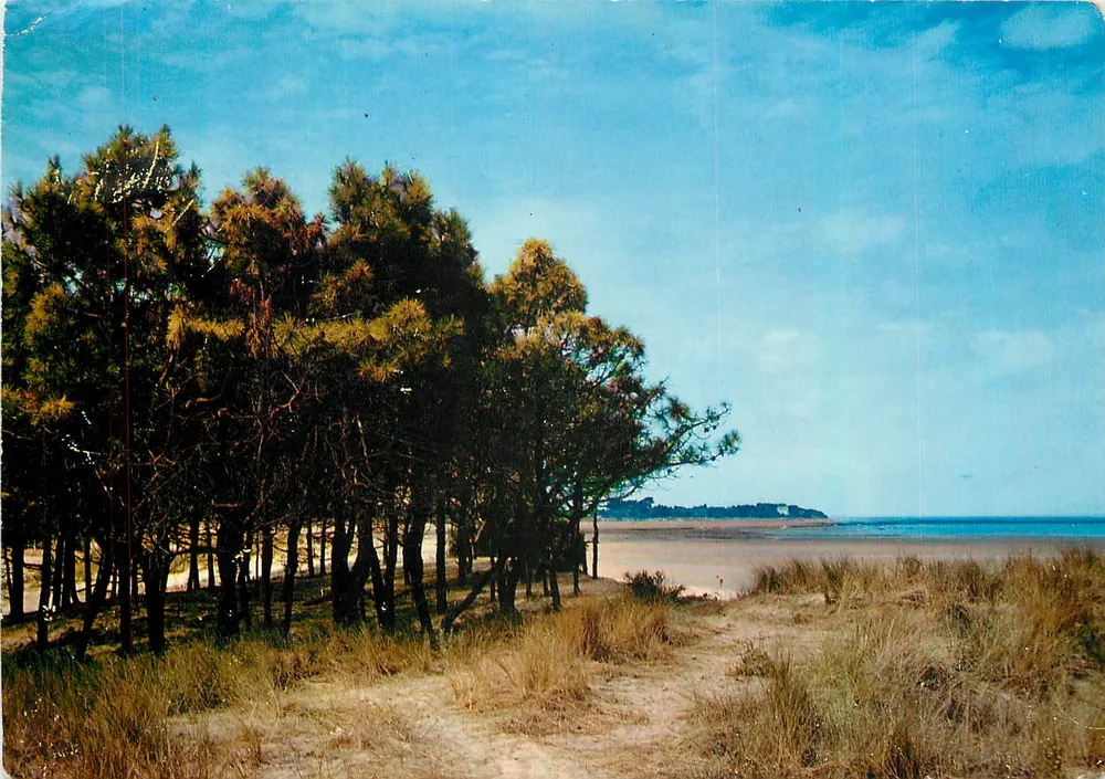 Les Portes (17. Char.-Mar.) — Le Petit Bois de Trousse-Chemise — Imprimeur Macon (71. S.-&-L.) - Vorderseite