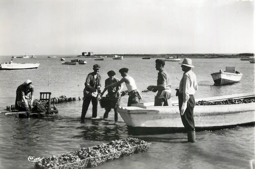 Ostfischer in Charente Maritime — Ausladen der Austern — Combiér Imp. Maccon (S-a-L) "CIM" - Vorderseite