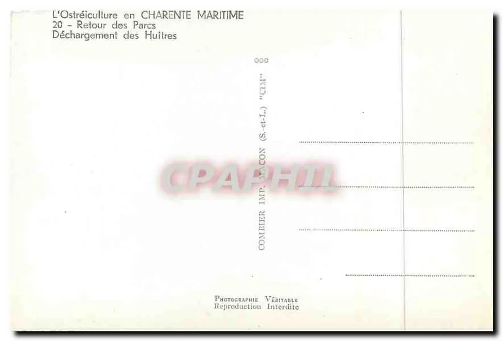 Ostfischer in Charente Maritime — Ausladen der Austern — Combiér Imp. Maccon (S-a-L) "CIM" - Rückseite