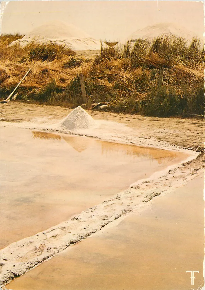 Ile de Ré — Le soleil au travail dans le marais salant — Éditions T.F. Sept-Îles - Recto