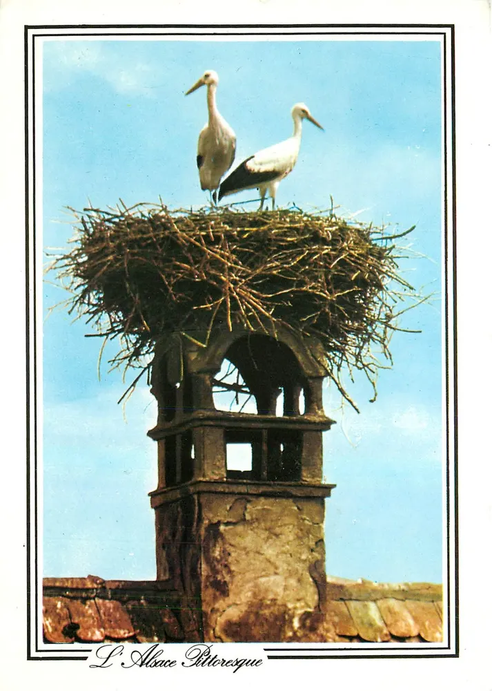 Zwei Störche auf ihrem Nest — Das pittoreske Elsass — Verlag: Images de France - Vorderseite