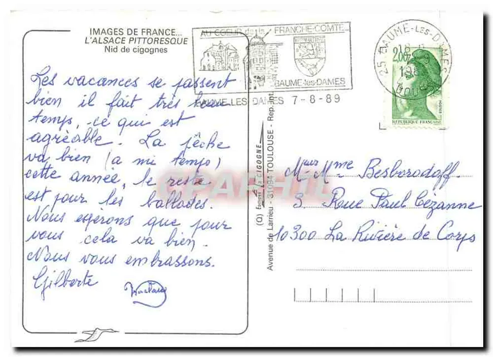 Zwei Störche auf ihrem Nest — Das pittoreske Elsass — Verlag: Images de France - Rückseite
