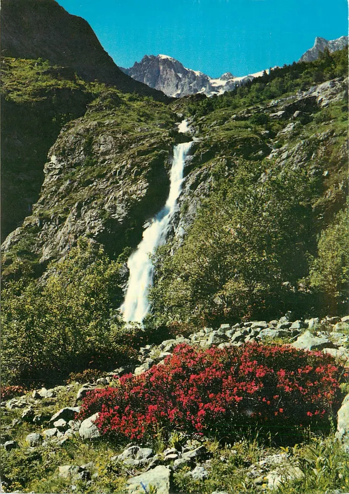 Rhododendrons et cascade — Aiguilles des Marmes (3057 m.) — Grenoblem — 38 PE 33 - Recto