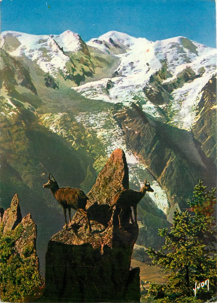 Chamois aux Aguets — 10/6338-1 — Éditions d'Art d'Arcueil - Frente