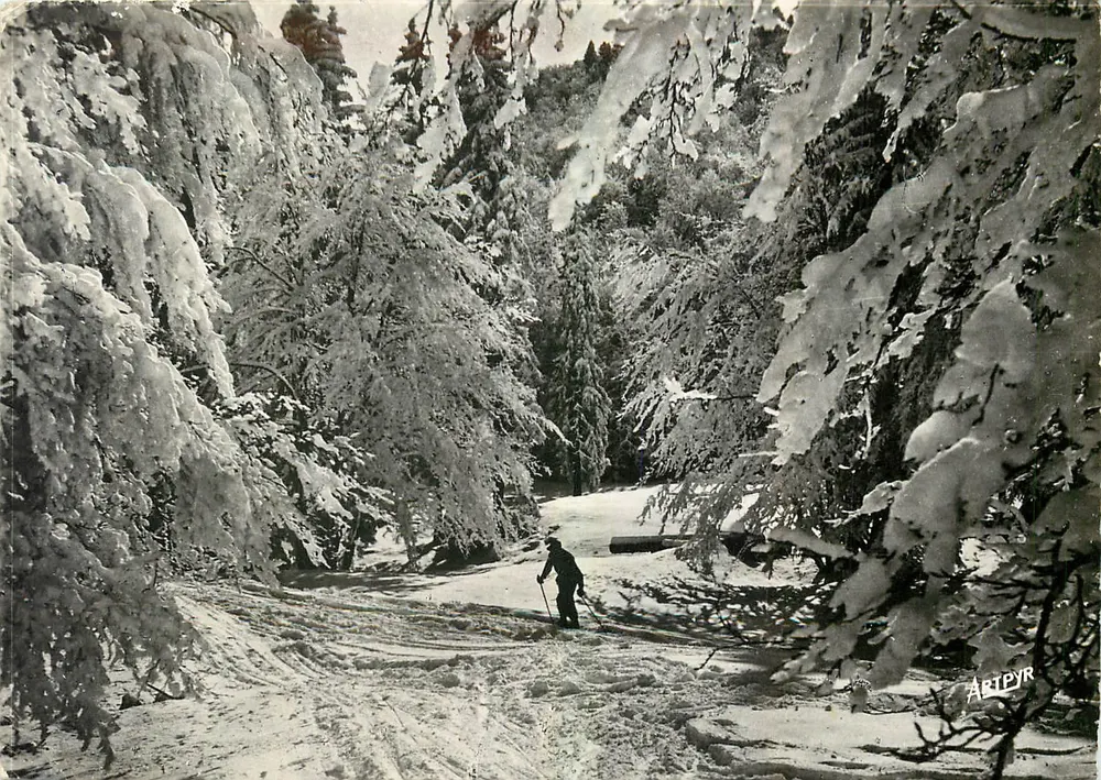 Floresta nevada — Trilha nevada com esquiador — Edições d'ARTPYR, n° 5312 - Frente
