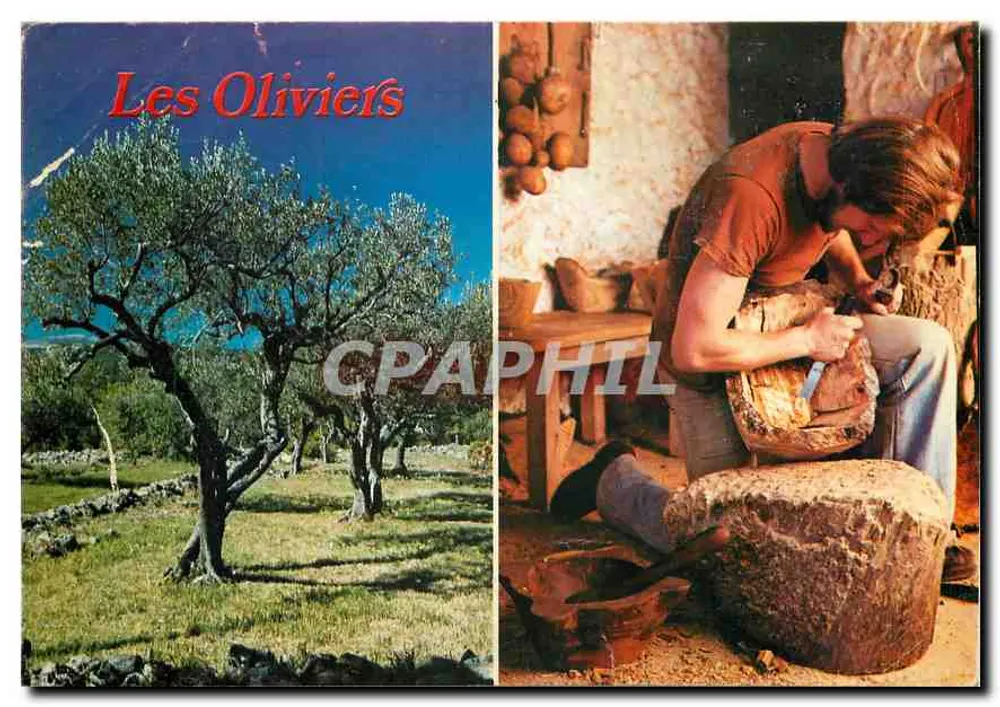 लेस ओलिवियर्स - एडिटर एलबे, नंबर 9942 - आगे