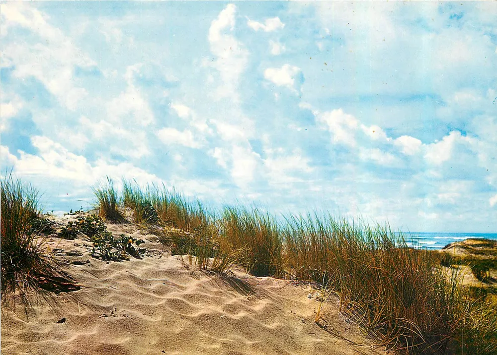 Dunas de Hardelot — praia e oceano — Éditions & Impressions COMBIER, n° C3 99080-1-0019 - Frente