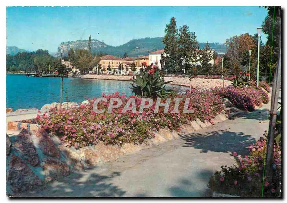 Lago di Garda - Bardolino — Shore Road — unknown publisher, n° 242 - Front