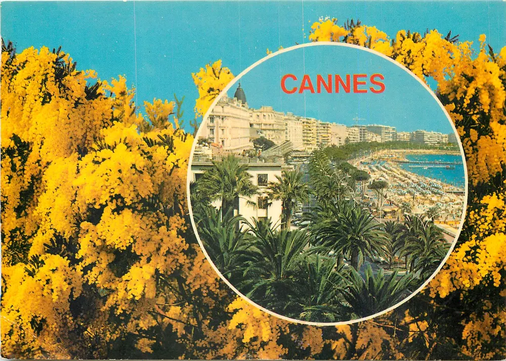 Cannes — vista panorâmica enquadra — editor desconhecido - Frente
