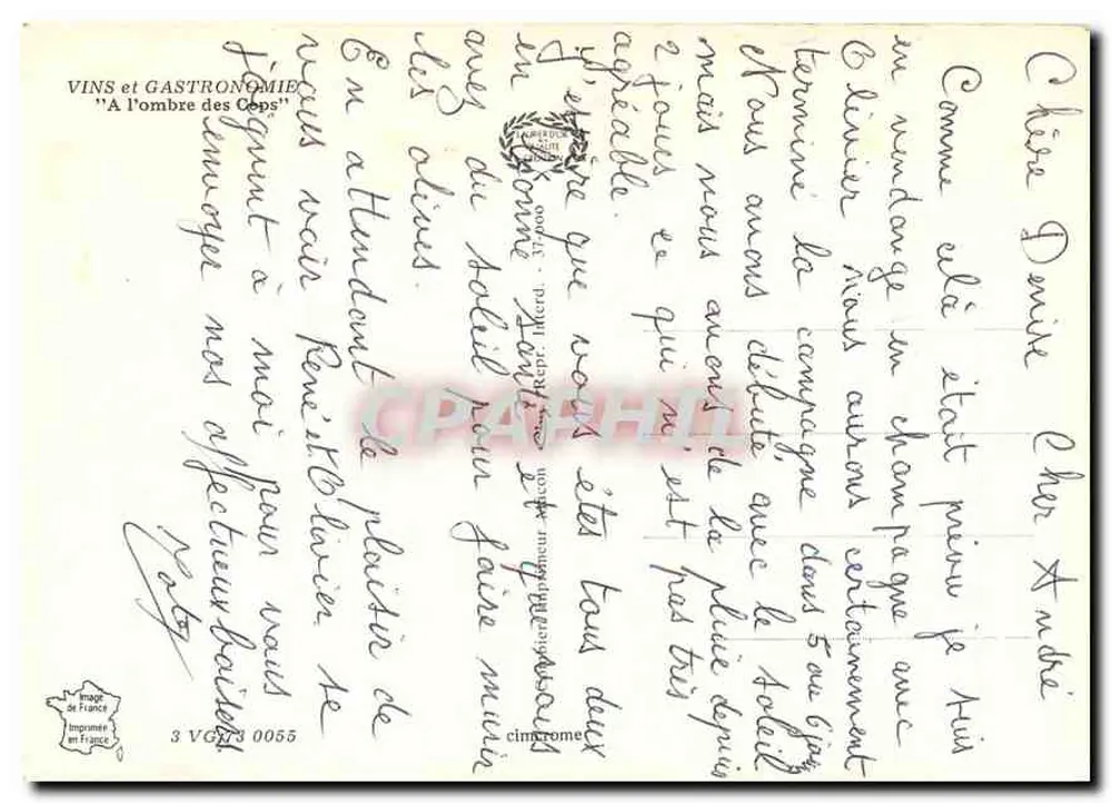 Vinhedo — cena de colheita — Cimy, n°3 VGR 3 0055 - Verso
