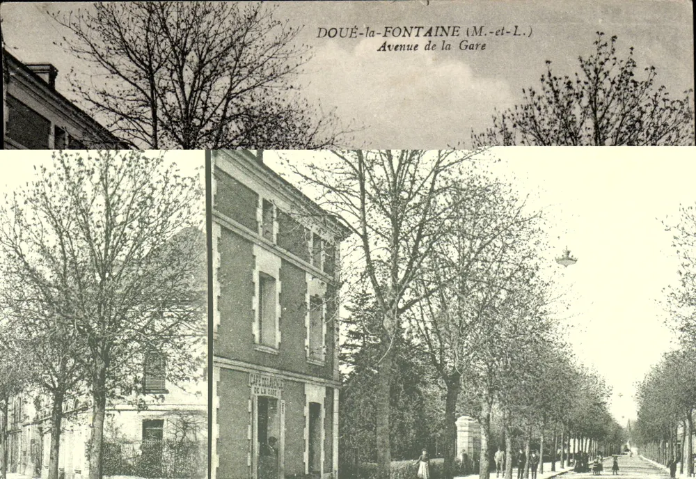 Doué-la-Fontaine (M.-et-L.) — Avenida da Estação — Cartão postal - Frente