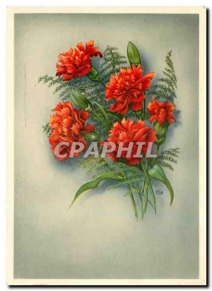 Bouquet de carnations rouges — éditeur HSI, série 650 - Frente