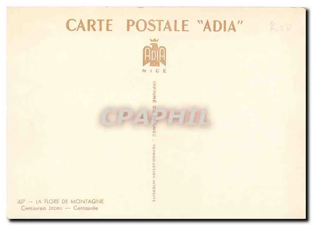 Centaurée de montagne — Centaurea jacea — wydawnictwo ADIA, Nice, nr 307 - Rewers