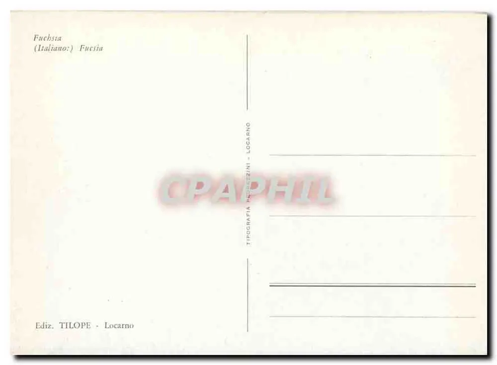 Fuchsias — fleurs rouges pendantes — Ediz. TILOPE - Locarno - Verso