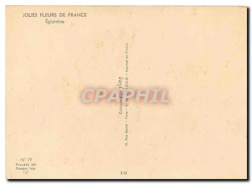 Eglantina — BELLOS FLORES DE FRANCIA — Ediciones Yvon, N° 19 - Reverso