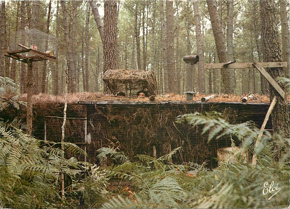 Palombière na floresta — Landes — Editor Elcée, n° 6553 - Frente