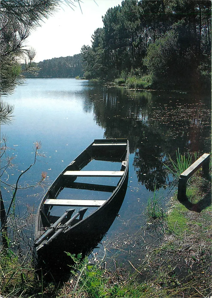 Lago das Landas — O lago de Moliet — Edições Lavielle, n°342 - Frente