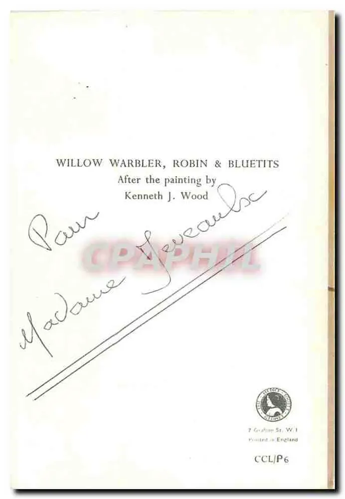 Vögel auf einem Stamm — Schilfrohrsänger, Rotkehlchen & Blaue Tauben — Nach dem Gemälde von Kenneth J. Wood - Rückseite