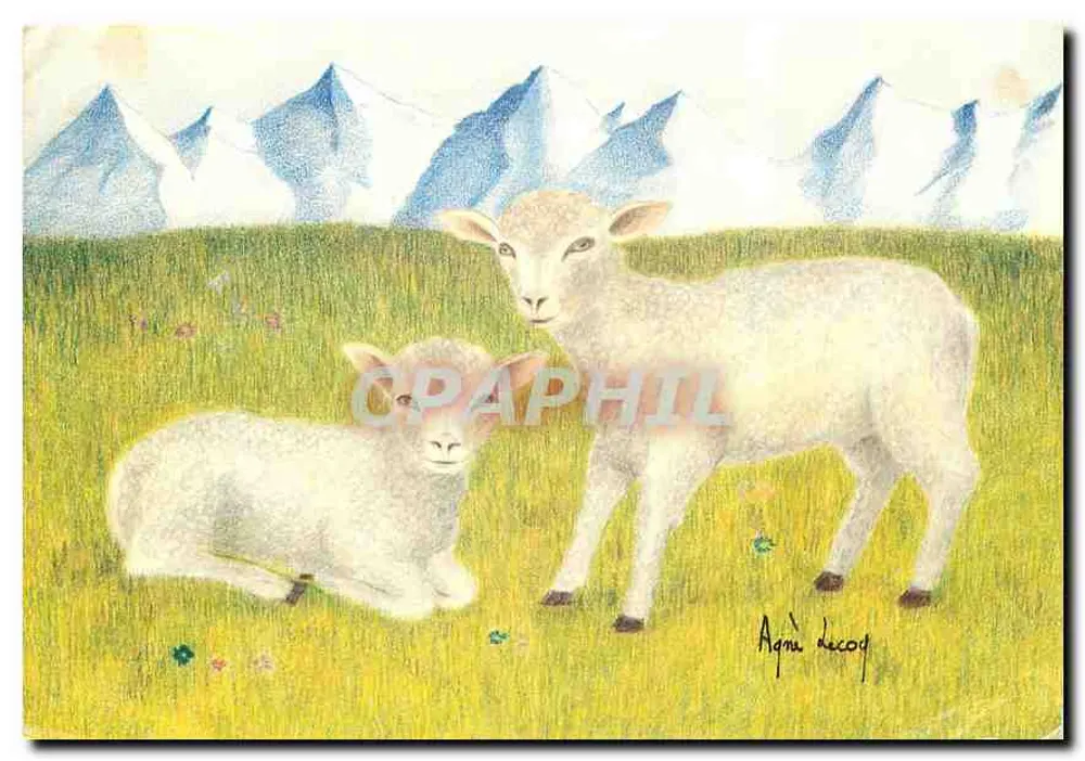 Zwei Lämmer im Feld — Berge im Hintergrund — Zeichnung von Agnès Lecoq - Vorderseite