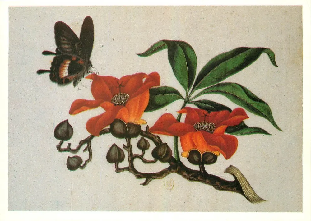 Schmetterlinge und Blumen — Chinesische Malerei — G.V. Deveaulex, Serie 18°, n°716 - Vorderseite