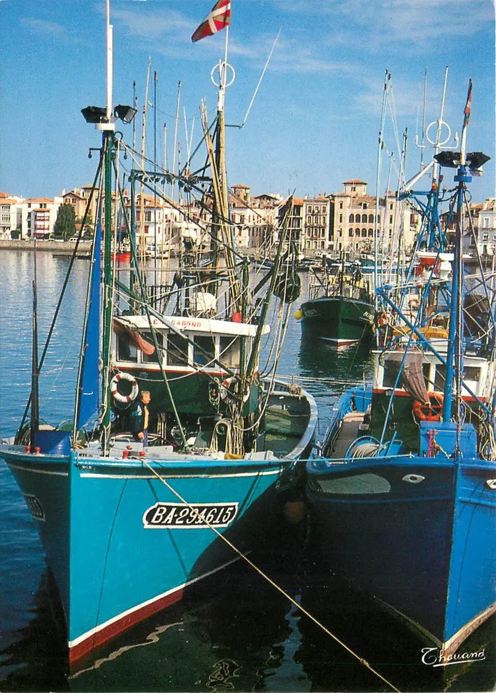 Hafen von Saint-Jean-de-Luz — Fischboote — Éditions Chouand, n° 555 - Vorderseite