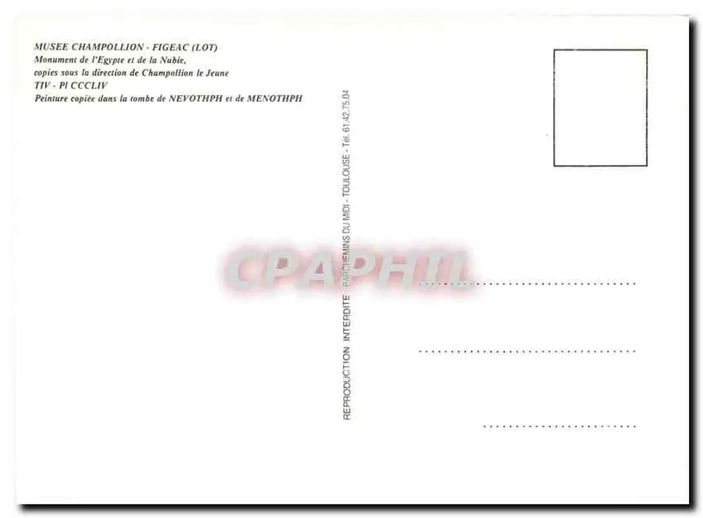 Vögel — Béni-Hassan-el-Qadim — Gemälde kopiert aus den Gräbern von Nevothph und Menothph - Rückseite