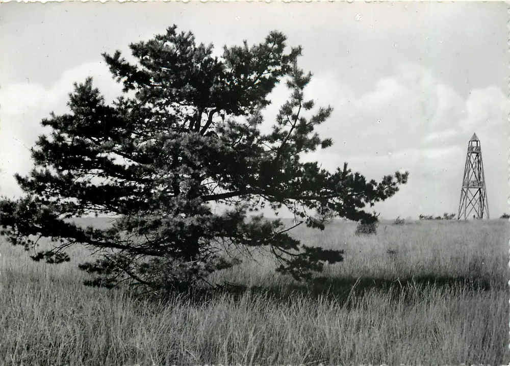 Hautes Fagnes — Baraque-Michel — 6718 - Frente