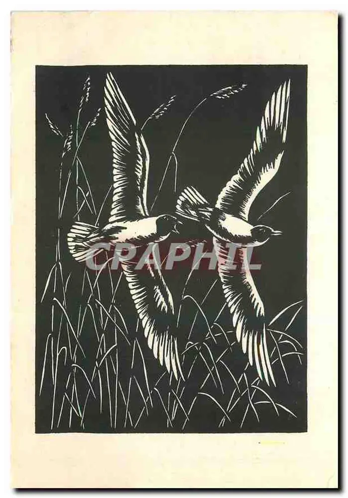 Deux oiseaux en vol — gravure sur bois — éditeur Lachmöwen, Scherenschnitt von Hugo Kocher - Front
