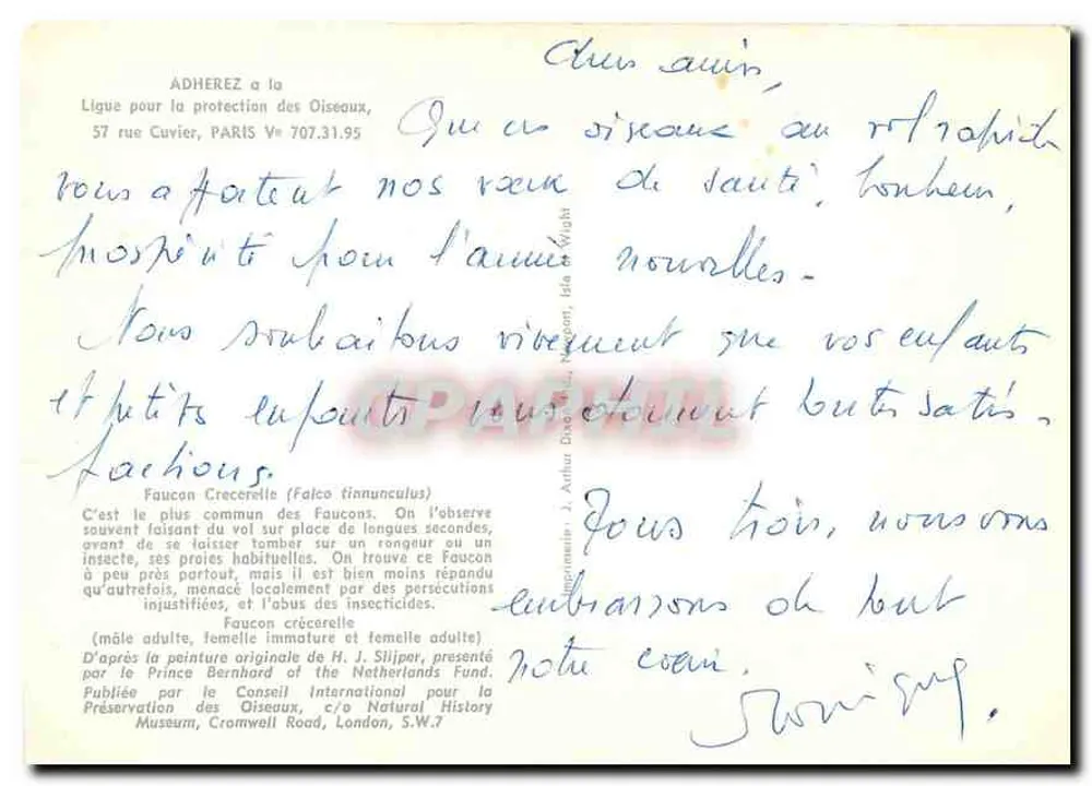 Fawek krukowaty — H.J. Shipman — wydane przez Fundację Princesa Bernhard z Holandii - Rewers
