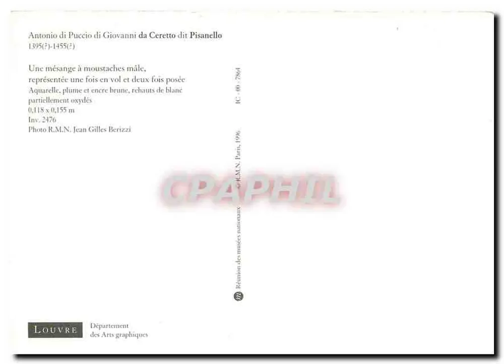 Mésange à moustaches — trois poses — Louvre, Département des Arts graphiques - Verso